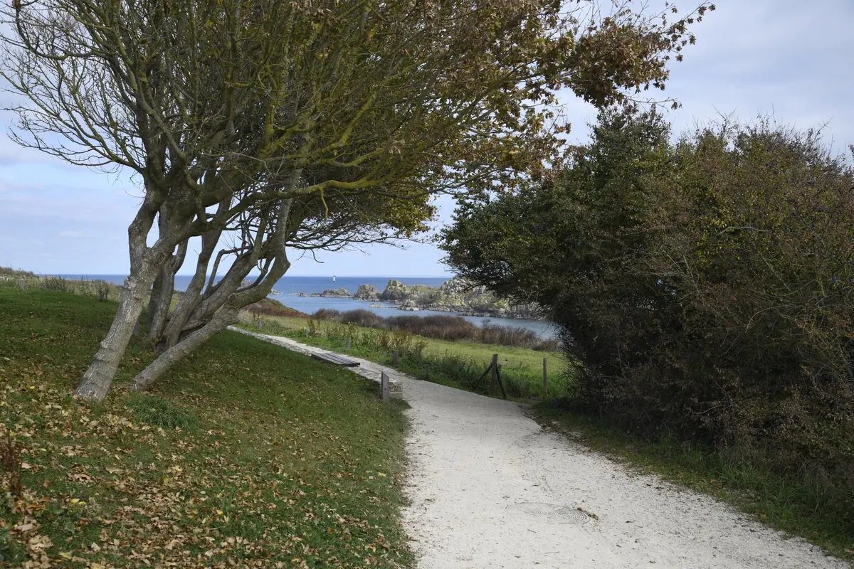 Best UK Coastal Walks for Autumn: 8 Routes for Crisp Days
